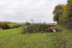 Ligne Maginot - LABBISCH SUD 5 - (Abri) - Vue générale