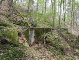 Ligne Maginot - METSCHBRUCK (59° RAMF ?) - (Abri) - Vue d'ensemble