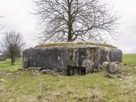 Ligne Maginot - LOHRBRONN - (Blockhaus pour arme infanterie) - 