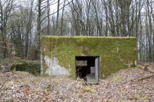 Ligne Maginot - CB303 - KANFENER BUSCH 3 - (Blockhaus pour canon) - 