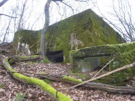 Ligne Maginot - CB333 - BOIS DE LA TIEFKEIL NORD - (Blockhaus pour canon) - 