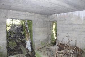 Ligne Maginot - NEUWIESE 2 - (Blockhaus pour canon) - Les entrées