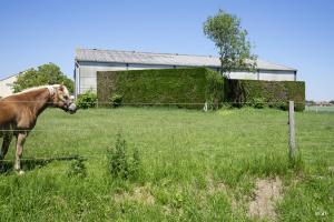 Ligne Maginot - B287 - GRIMONPONT SUD - (Blockhaus pour canon) - Le blockhaus est caché derrière une haie