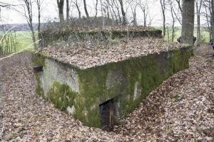 Ligne Maginot - CB226 - BOIS DE CATTENOM 02 - (Blockhaus pour arme infanterie) - Construction en appendice couvrant l'entrée