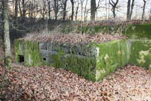 Ligne Maginot - CB226 - BOIS DE CATTENOM 02 - (Blockhaus pour arme infanterie) - La petite annexe