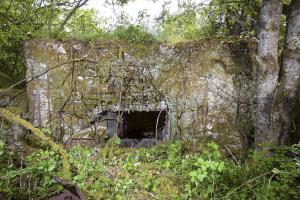 Ligne Maginot - Cb10ter - SCHUMACHERBERG (Blockhaus pour arme infanterie) - 
