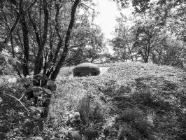 Ligne Maginot - ROUTE DU LUXEMBOURG - O10 - (Observatoire d'artillerie) - 