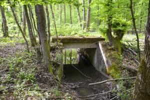 Ligne Maginot - VF60 - ANTENNE DE L'OUVRAGE DU HOCHWALD - (RESEAU - Voie 60 - Antenne ou rocade ferroviaire) - 6 - PONT SUR LE GEFAELLBAECHEL 1
Le pont sur le ruisseau