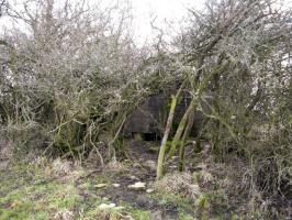 Ligne Maginot - SALWALD 4 - (Blockhaus pour canon) - Vue générale