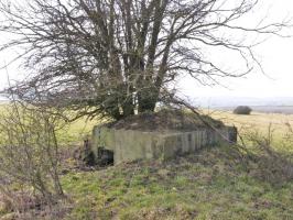 Ligne Maginot - SALWALD 2 - (Blockhaus pour arme infanterie) - L'entrée