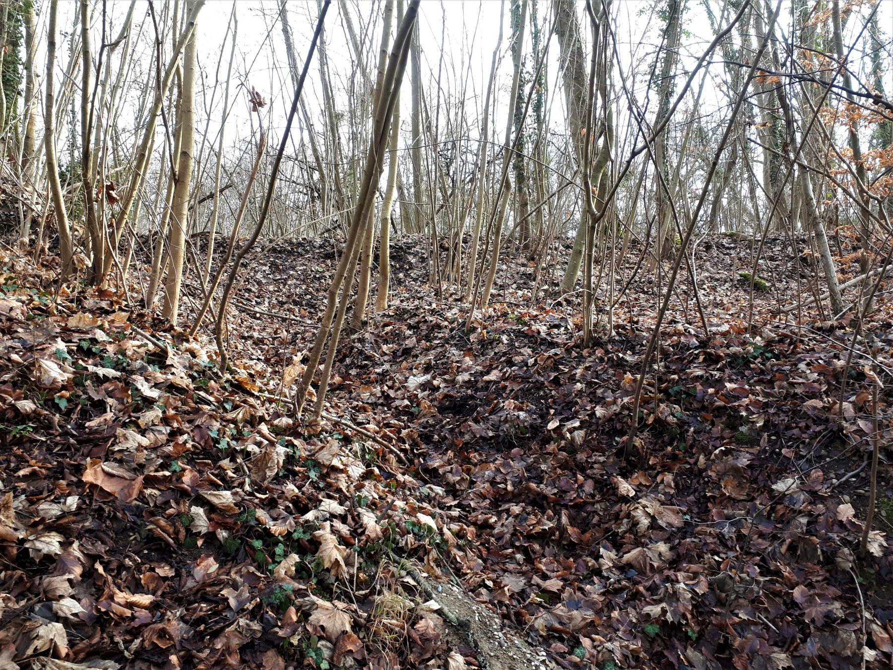 Ligne Maginot - UHRICH - HOCHE (1° BON 237° RI) - (PC de Sous-Quartier) - Tranchée sur la plateforme de tir Est