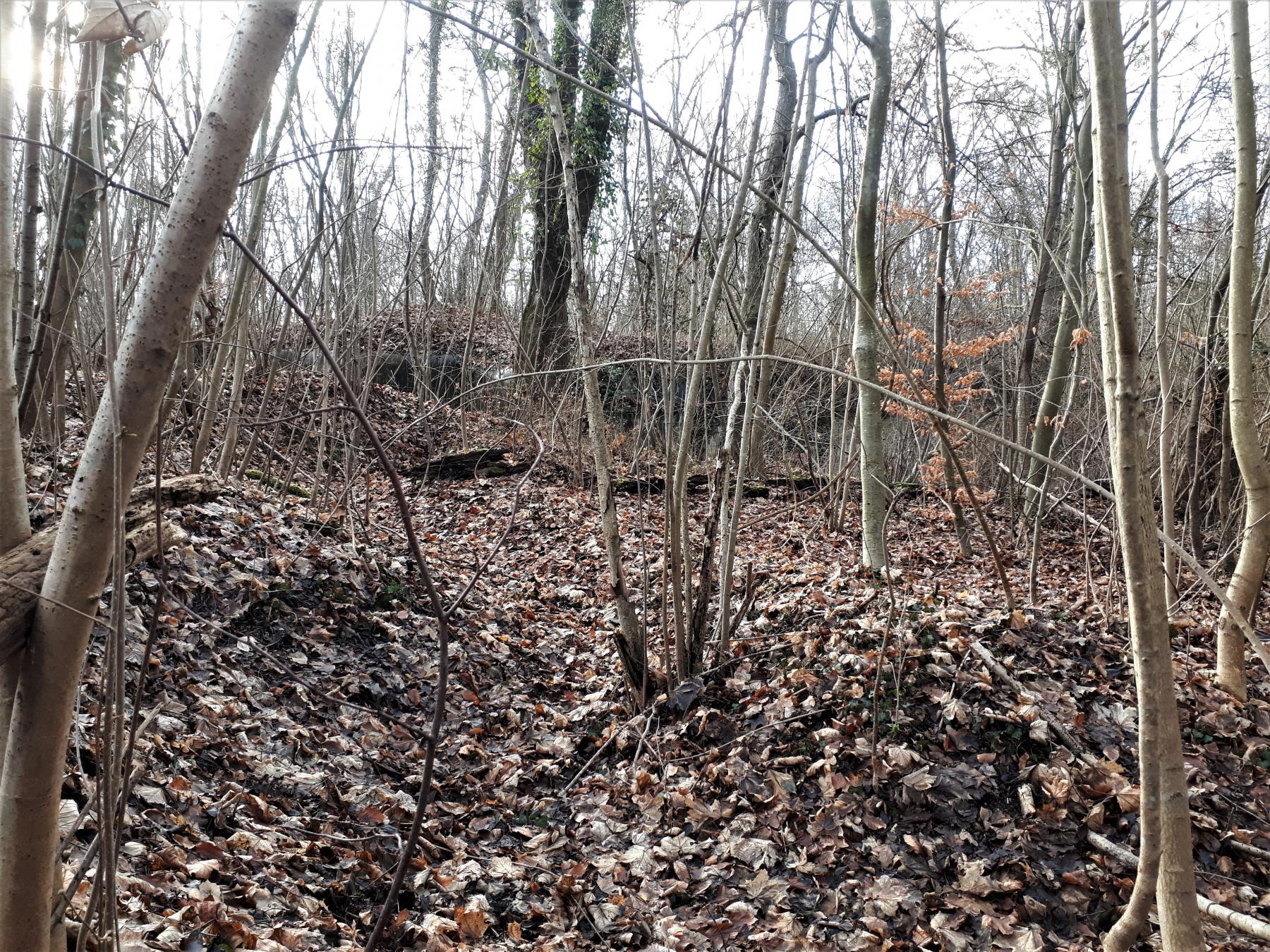 Ligne Maginot - UHRICH - HOCHE (1° BON 237° RI) - (PC de Sous-Quartier) - Tranchée sur la plateforme de tir Est vers l'abri traverse gauche