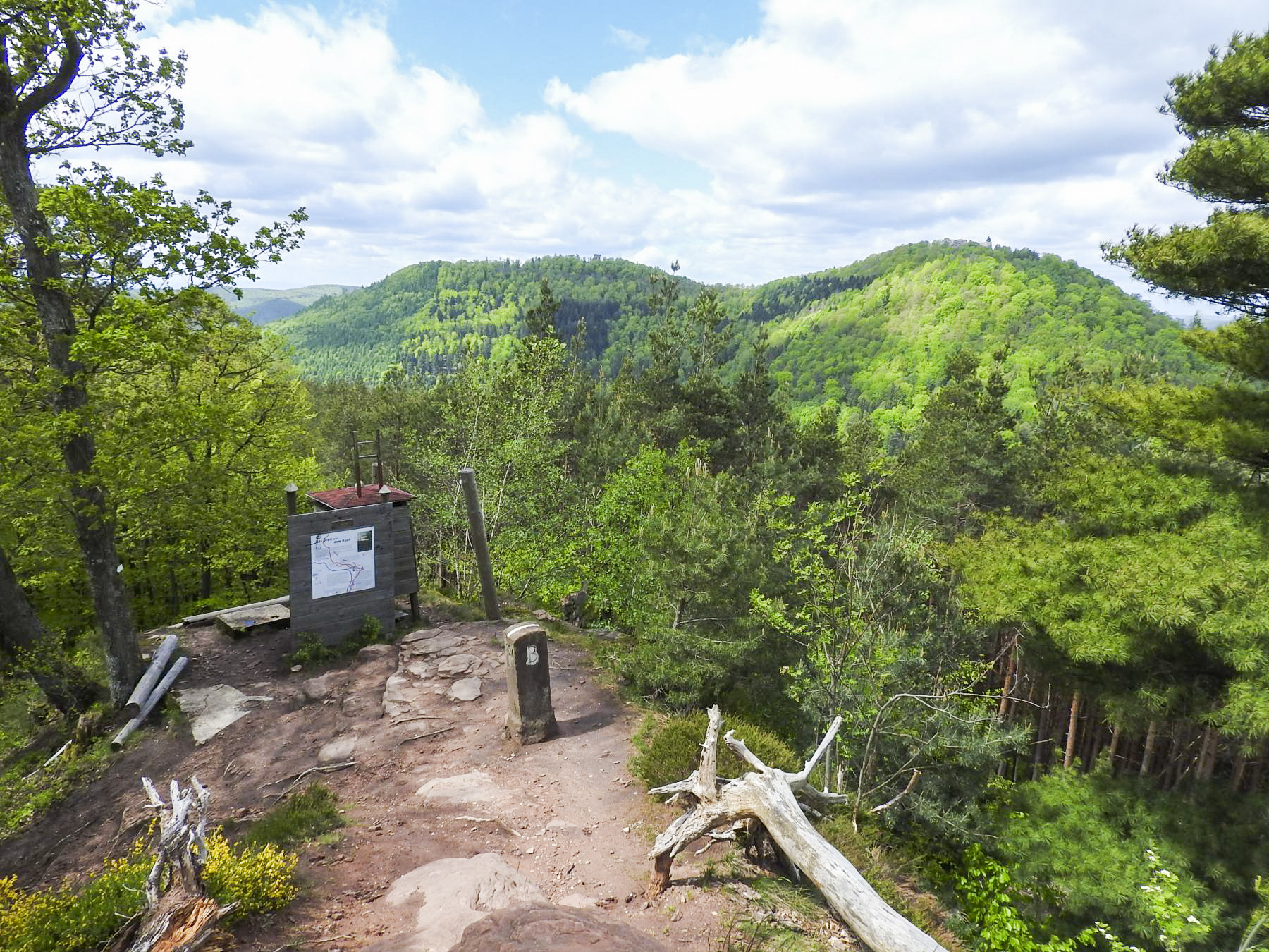 Ligne Maginot - KAPPELSTEIN - (Observatoire d'infanterie) - Une vue d'ensemble avec les sommets qui portent les châteaux du Hohenbourg, du Loewenstein et du Wegelnburg - STENGER Mathieu
