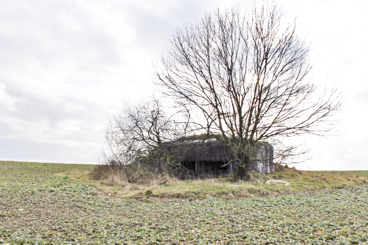 Ligne Maginot - KALKOFEN 3 - (Blockhaus pour canon) - Vue générale - Christian LENHARD