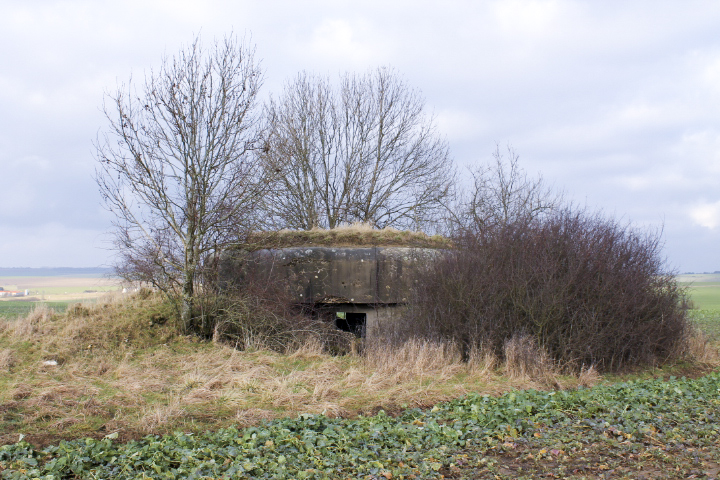 Ligne Maginot - KALKOFEN 3 - (Blockhaus pour canon) - Facade arriere - Christian LENHARD