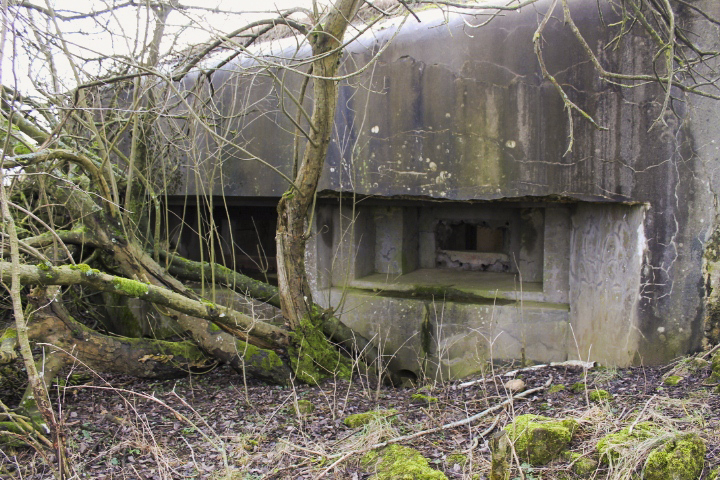 Ligne Maginot - KALKOFEN 3 - (Blockhaus pour canon) - Facade de tir - Christian LENHARD