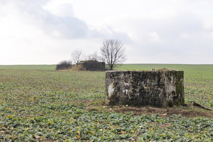 Ligne Maginot - KALKOFEN 2 - (Blockhaus pour arme infanterie) - Vue générale - Christian LENHARD