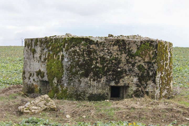 Ligne Maginot - KALKOFEN 2 - (Blockhaus pour arme infanterie) - Facade de tir - Christian LENHARD