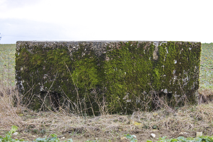 Ligne Maginot - KALKOFEN  1 - (Blockhaus pour arme infanterie) - Facade de tir
Deux créneaux fusils mitrailleurs