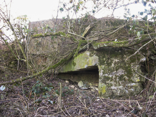 Ligne Maginot - KALKOFEN 8 - (Blockhaus pour arme infanterie) - Façade de tir - Christian LENHARD