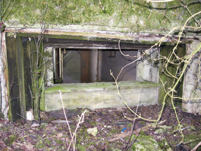 Ligne Maginot - KALKOFEN 6 - (Blockhaus pour canon) - Créneau pour canon - Christian LENHARD