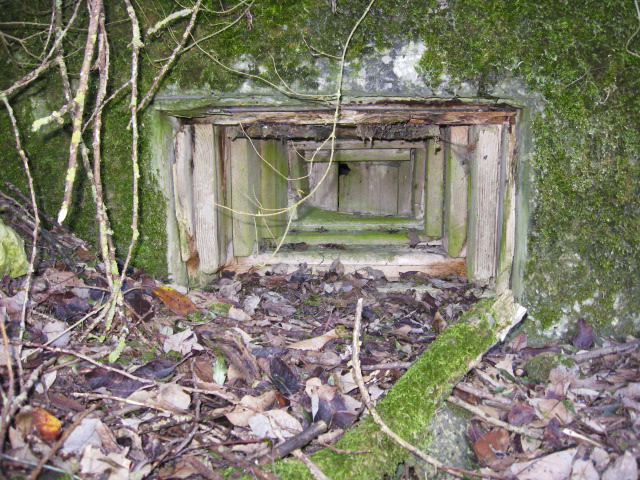 Ligne Maginot - KALKOFEN 6 - (Blockhaus pour canon) - Créneau  FM - Christian LENHARD