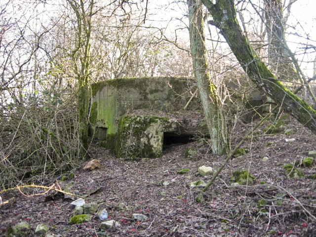 Ligne Maginot - KALKOFEN 9 - (Blockhaus pour arme infanterie) - Vue générale - Christian LENHARD