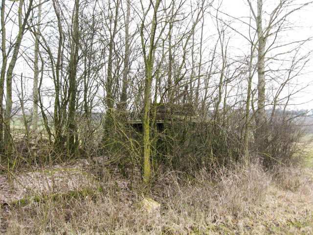 Ligne Maginot - KLEINGEWAEND 1 - (Blockhaus pour arme infanterie) - Vue générale - Christian LENHARD