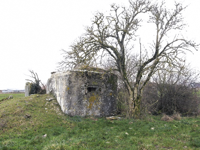 Ligne Maginot - KOPP 5 - (Blockhaus pour arme infanterie) - Vue générale - Christian LENHARD