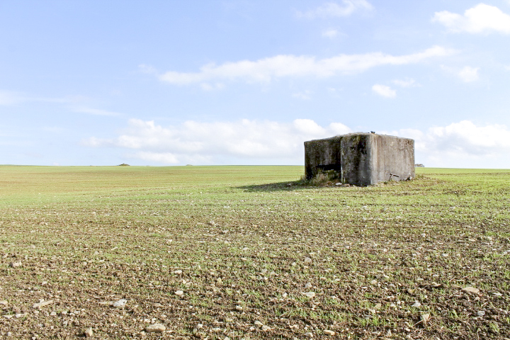 Ligne Maginot - LABBISCH NORD 1 - (Blockhaus pour canon) - Vue générale