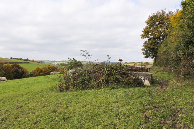 Ligne Maginot - LABBISCH SUD 5 - (Abri) - Vue générale