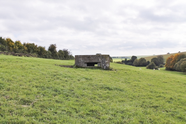 Ligne Maginot - LABBISCH SUD 4 - (Blockhaus pour arme infanterie) - Vue générale