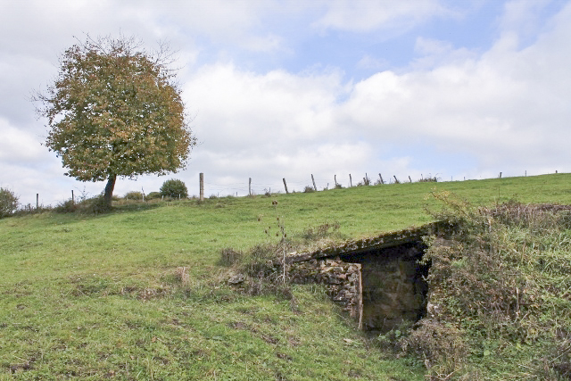 Ligne Maginot - Vue générale - Vue générale - Christian LENHARD