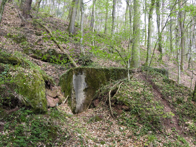 Ligne Maginot - METSCHBRUCK (59° RAMF ?) - (Abri) - Vue d'ensemble - Christian LENHARD