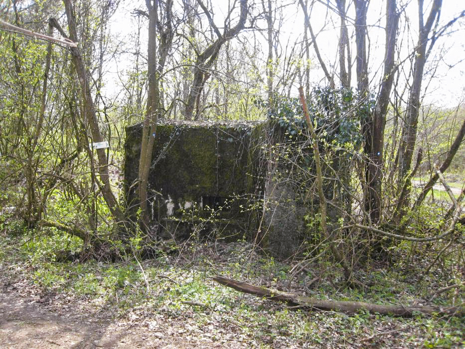 Ligne Maginot - CB318 - GINSKLOPP EST - (Blockhaus pour arme infanterie) - 