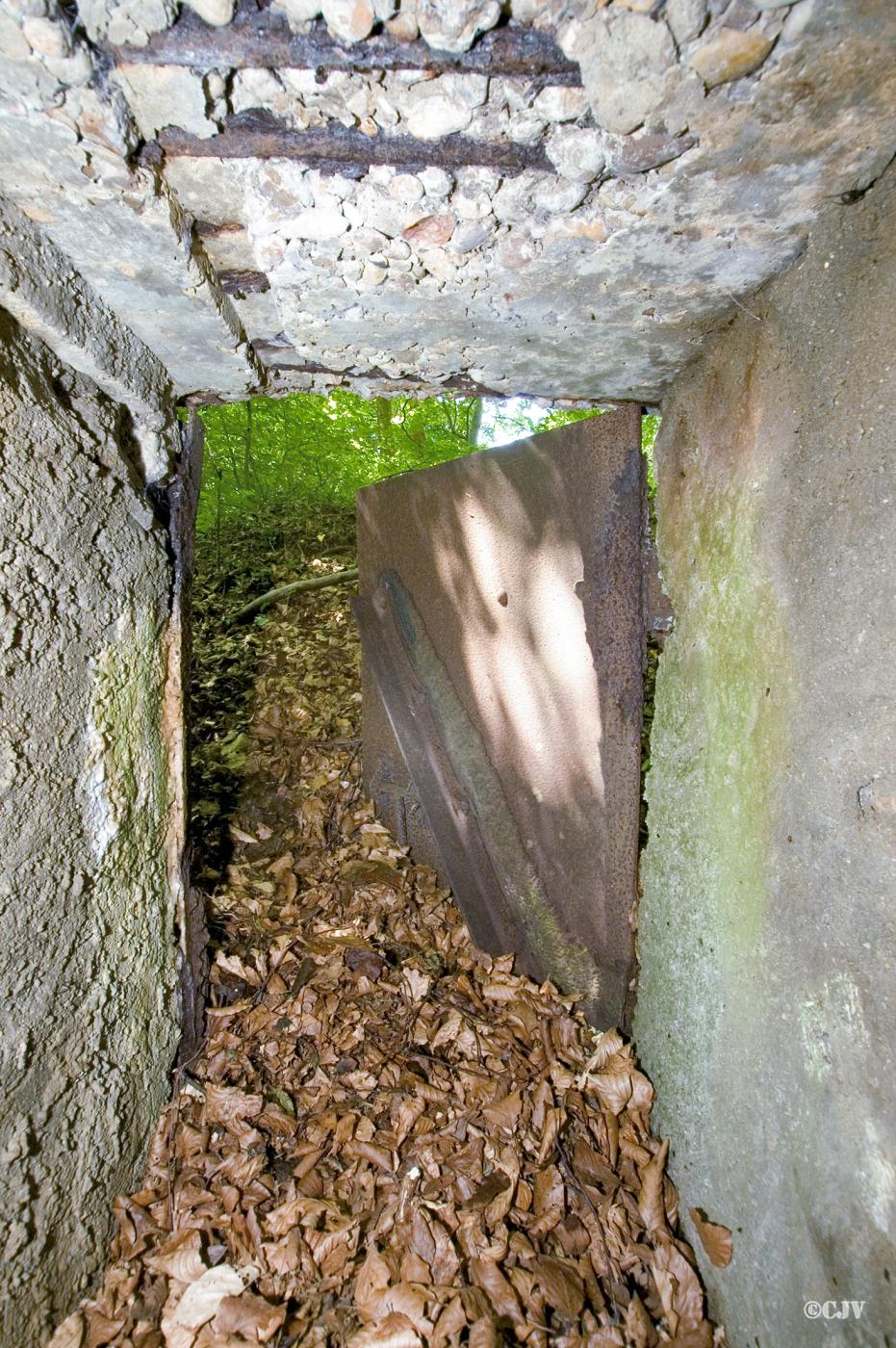 Ligne Maginot - CB332 - GINSKLOPP SUD - (Blockhaus pour arme infanterie) -  - Lia VERMEULEN