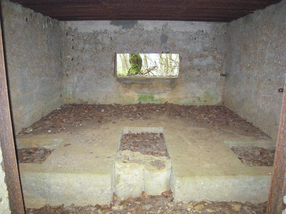 Ligne Maginot - CB333 - BOIS DE LA TIEFKEIL NORD - (Blockhaus pour canon) - 