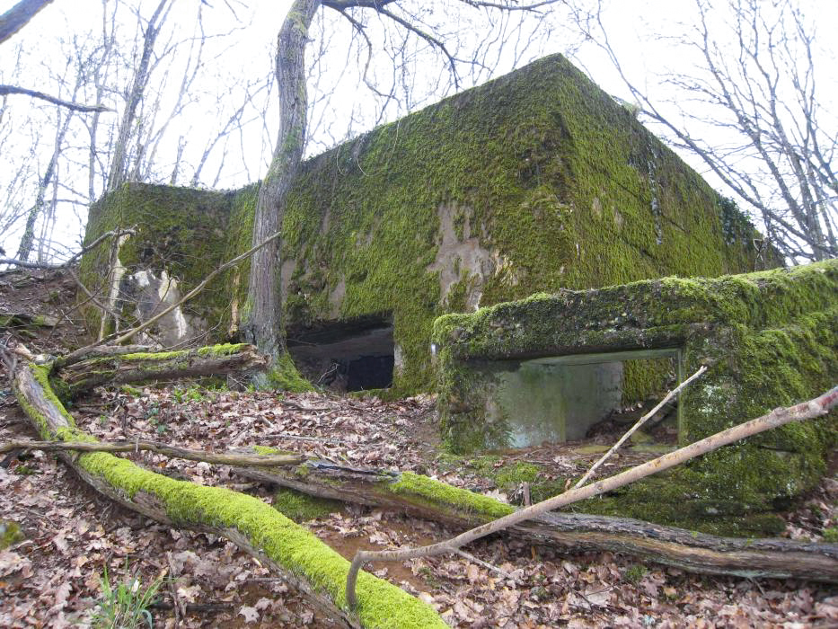 Ligne Maginot - CB333 - BOIS DE LA TIEFKEIL NORD - (Blockhaus pour canon) - 