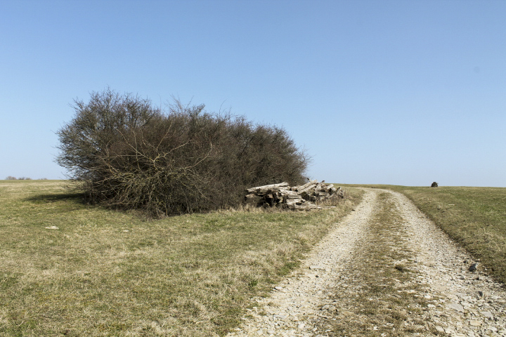 Ligne Maginot - NEUWIESE 3 - (Blockhaus pour arme infanterie) - Vue générale