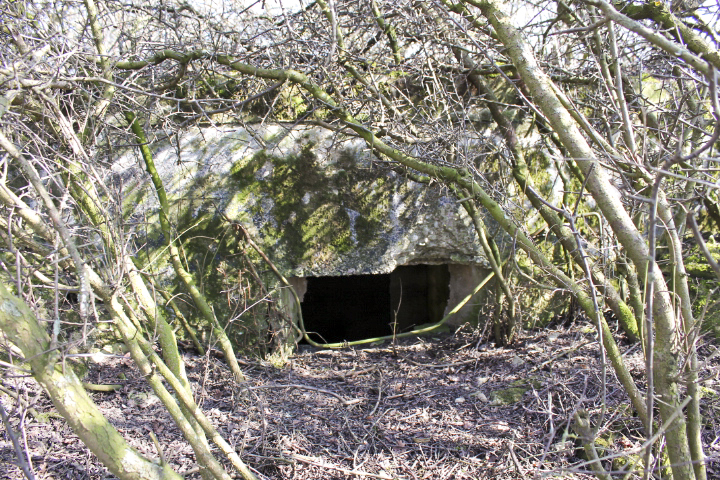 Ligne Maginot - NEUWIESE 3 - (Blockhaus pour arme infanterie) - Façade de tir