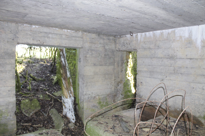 Ligne Maginot - NEUWIESE 2 - (Blockhaus pour canon) - Les entrées