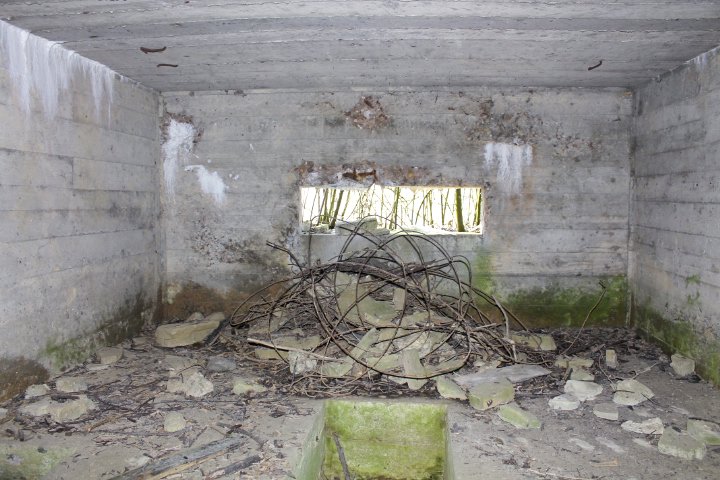 Ligne Maginot - NEUWIESE 2 - (Blockhaus pour canon) - Le créneau