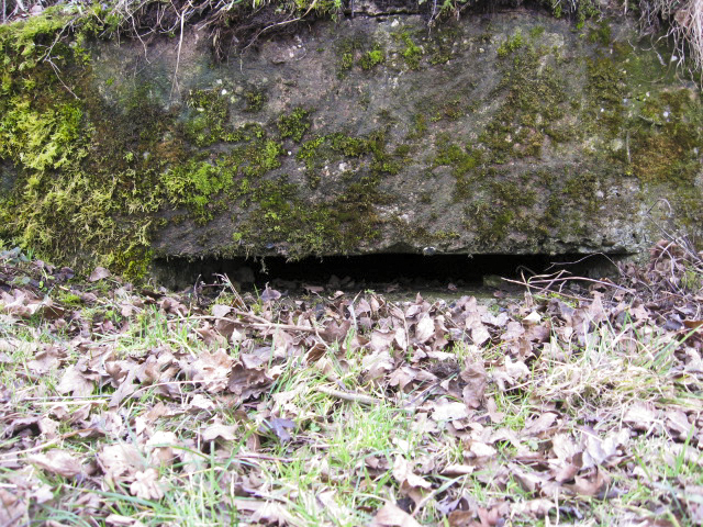 Ligne Maginot - NORD DE WELSCHHOF - (Observatoire d'infanterie) - Créneau d’observation - Christian LENHARD