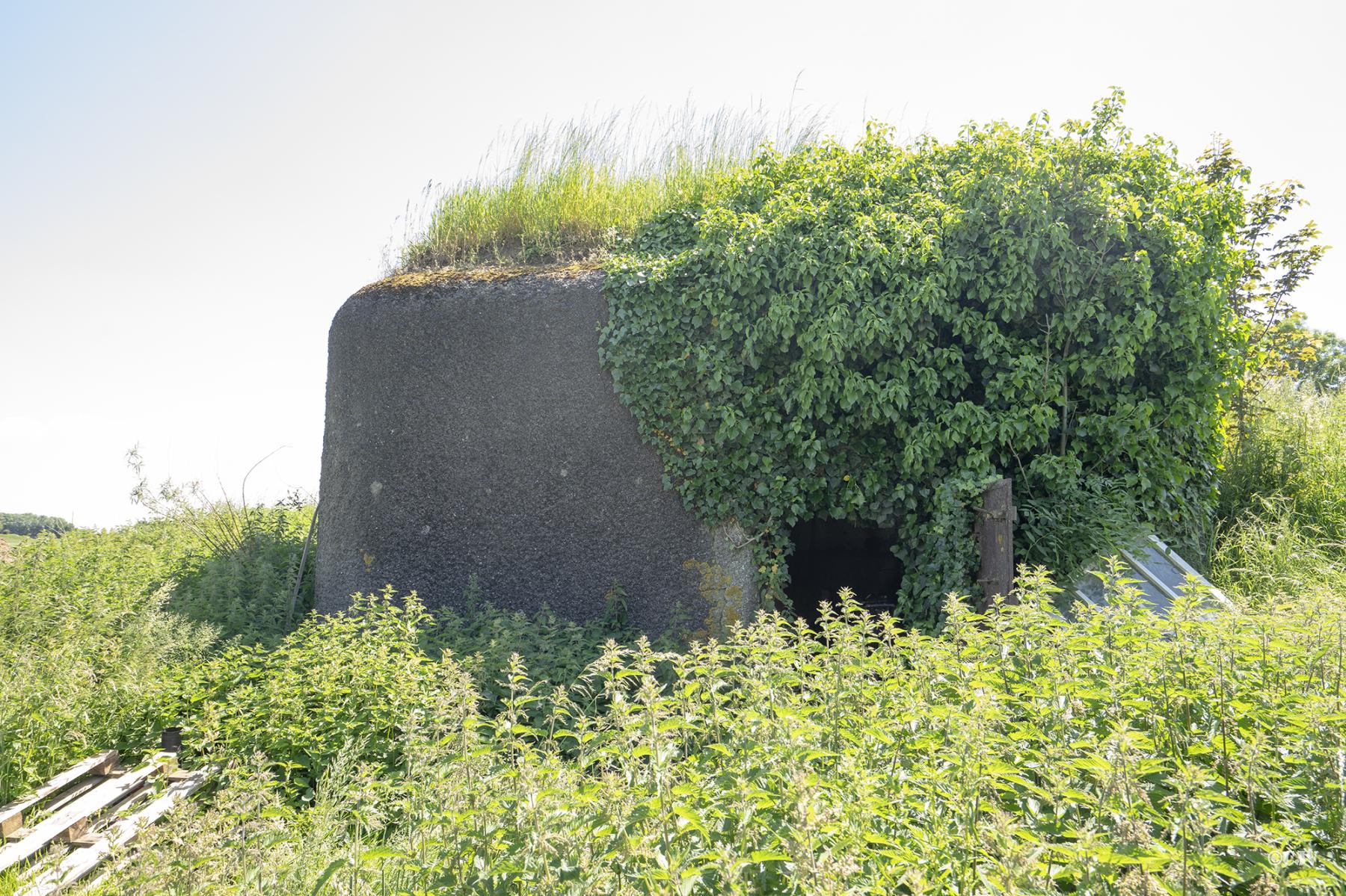 Ligne Maginot - B296 - CHAPELLE MADAME - (Blockhaus pour canon) - L'entrée