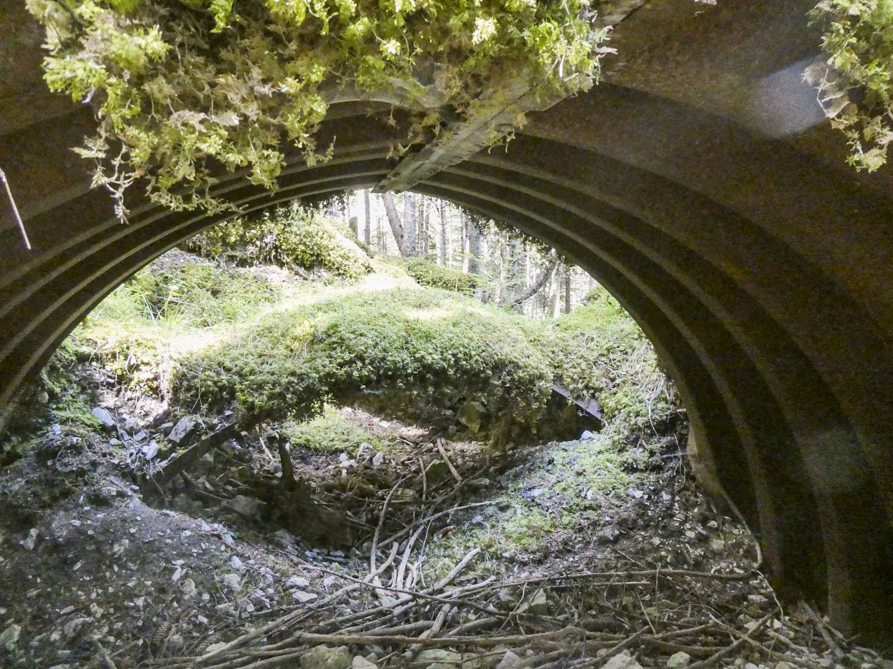 Ligne Maginot - BOIS NOIR 3 - (Abri) -  - ELLENA - CUNY