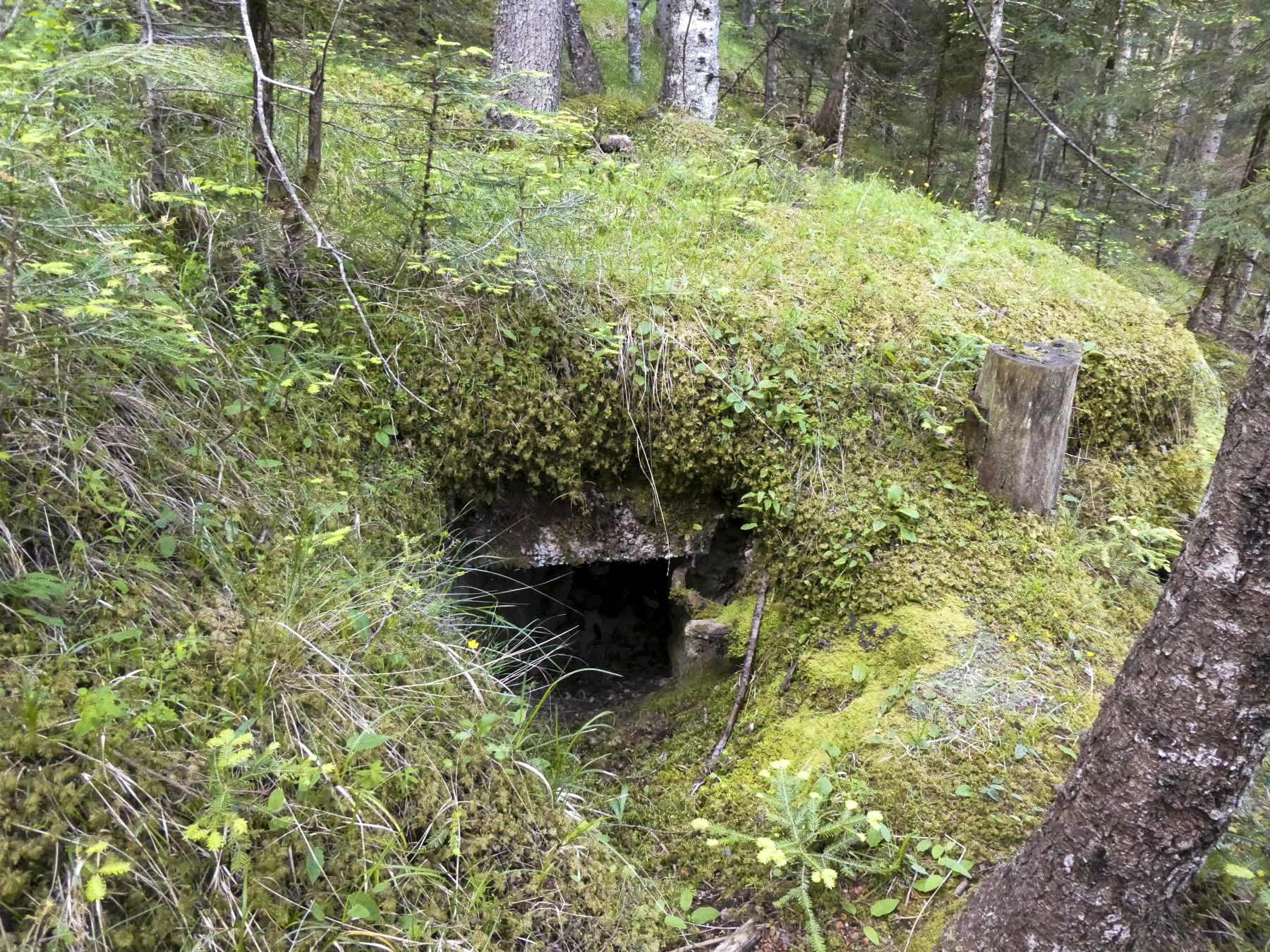 Ligne Maginot - BOIS NOIR 4 - (Blockhaus pour arme infanterie) - 