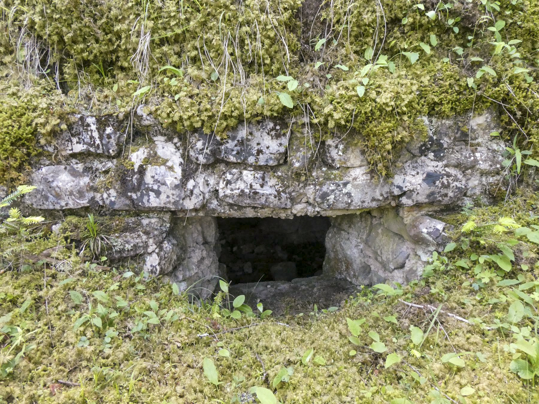 Ligne Maginot - BOIS NOIR 4 - (Blockhaus pour arme infanterie) - 