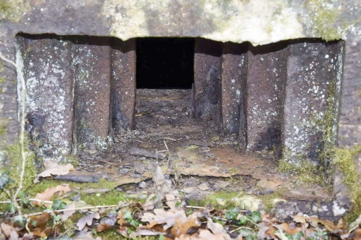 Ligne Maginot - CB226 - BOIS DE CATTENOM 02 - (Blockhaus pour arme infanterie) - Créneau de tir - D.Froehly