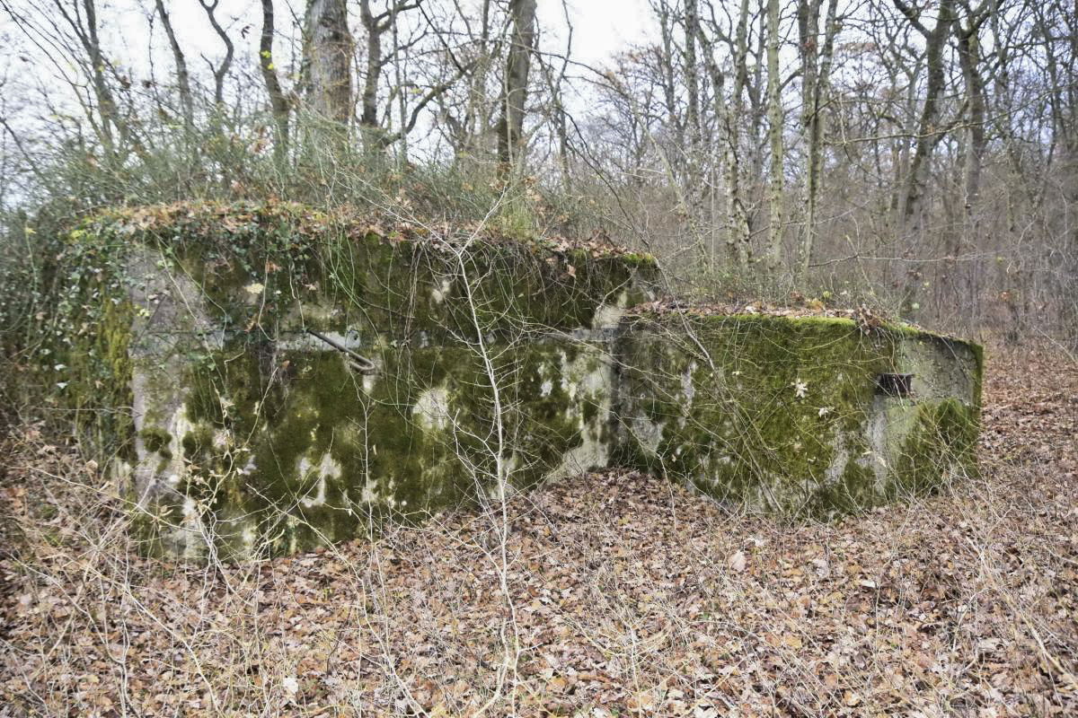 Ligne Maginot - CB226 - BOIS DE CATTENOM 02 - (Blockhaus pour arme infanterie) - Construction en appendice couvrant l'entrée et l'abri - D.Froehly