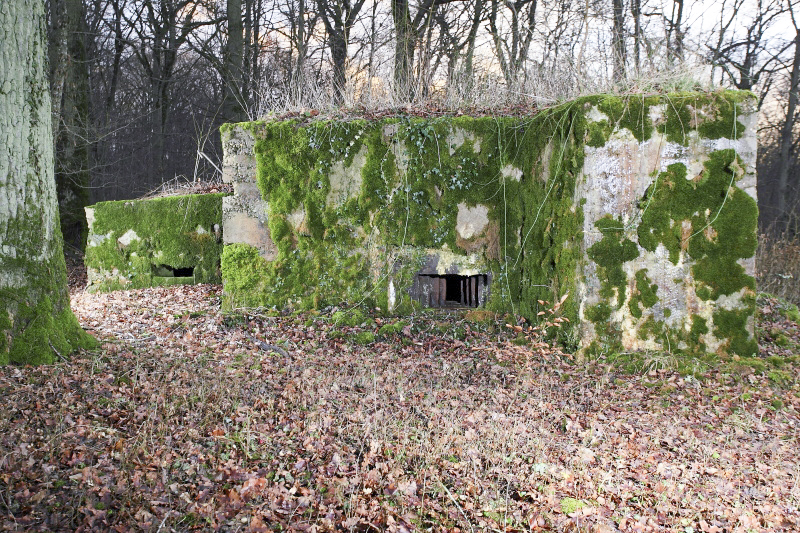 Ligne Maginot - CB226 - BOIS DE CATTENOM 02 - (Blockhaus pour arme infanterie) - On notera la présence d'une petite annexe, inhabituelle sur ce genre de réalisation. - www.arnaultjl-photo.com